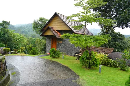 The Wild Trails Clarks Exotica , Munnar
