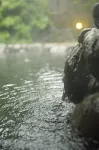 Ryotei Tanokura - romantici