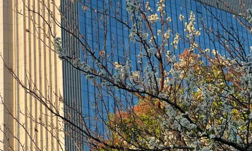 Kuitun Jinling International Hotel