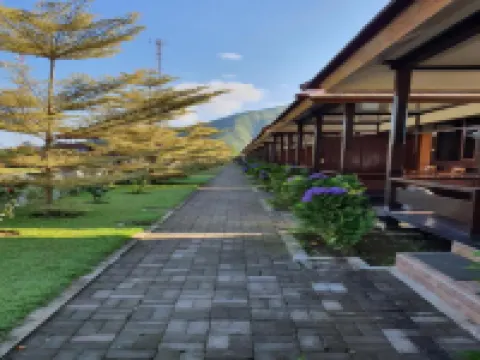 Nusantara Hotel Sembalun Hotels in East Lombok Regency