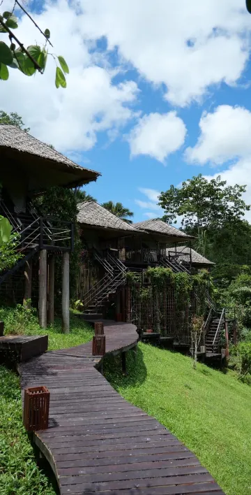 Exotic Top View Double