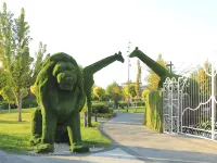 PREMIUM DOO Hostel Hotels in Tashkent