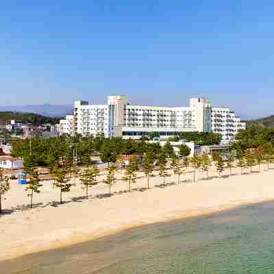 오션투유리조트 속초설악비치 호텔앤콘도 Hotel Exterior
