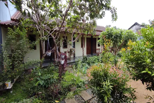 Banyuwangi Sunrise Homestay