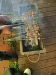 隴縣煙雲舍民宿（關山草原景區店） - 2-Star