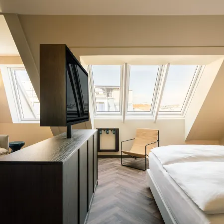 Hotel Schani City