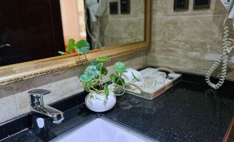 Golden Begonia Donggang Hotel Lincang