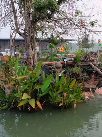 รูปภาพของเช็คอินรีสอร์ท ชัยนาท