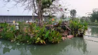 Check-in Resort Các khách sạn ở Chai Nat