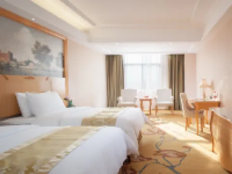 Vienna Hotel (Heyuan Heping) Hotels in Heping