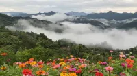 Xiangrikui Inn