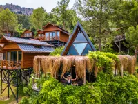 Botanik Gol Evleri Hotels in 