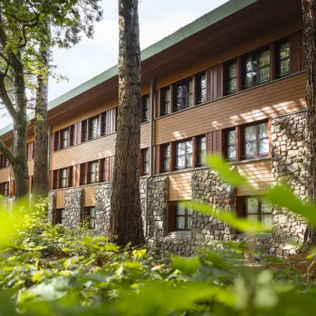 Disney Sequoia Lodge