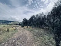 Daofu Xiangbaling Homestay