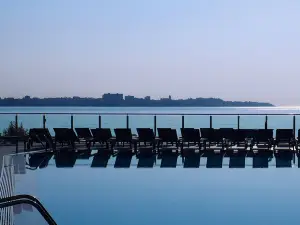 Nâng tầm dịch vụ Phổ Biến Tại Alicante