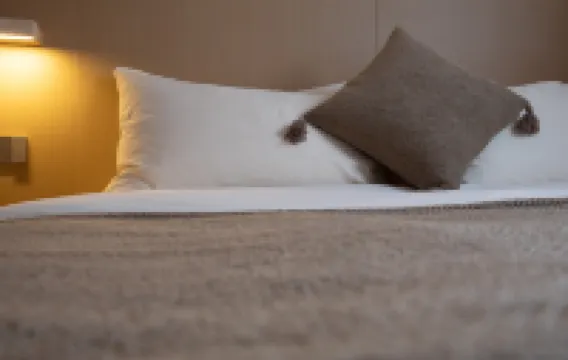 Lost&Found@Wutong House