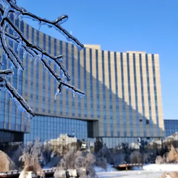 Sheraton Changchun Jingyuetan Hotel