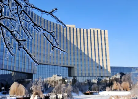 Sheraton Changchun Jingyuetan Hotel Отели рядом с достопримечательностью «Software Engineering Simulation Company， College of Humanities & Information， Changchun University of Technology»