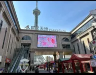 Elong Anyue Hotel (Kaifeng Millennium City Park Wansuishan) - Romantic