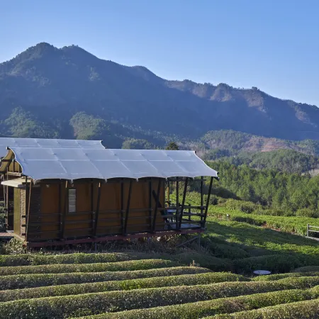 Cloud Starry Sky Homestay