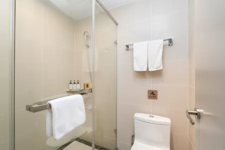 Homeinn Selected Hotel (Shanghai Pudong Lujiazui Area Oriental Pearl)
