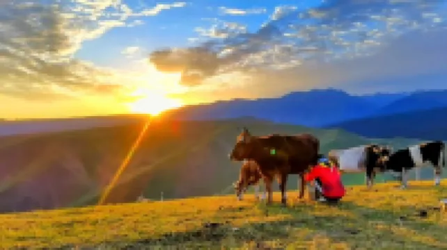 Joan Kushtai Tingyu Villa