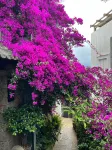 Tianlai Lake View Hotel Hotels near Shuanglang