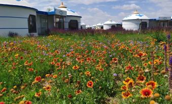Ejin Horo Banner Bulage Grassland Yurt