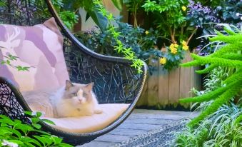 Lijiang Listen Deer·Snow Mountain Viewing Guesthouse