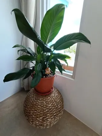 Ghana Inn Отели рядом с достопримечательностью «Chengchuisha»