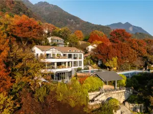 Blossom Valley Jinhua