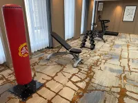 Zhouhuang Holiday Hotel Ordos - Gym