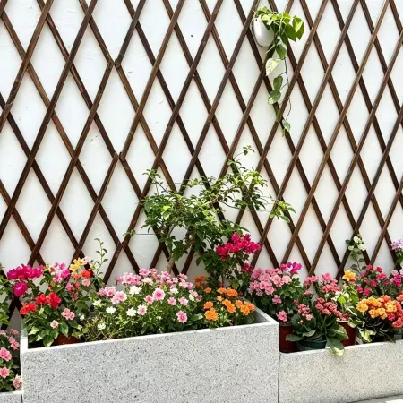 Yifeng Yushe Homestay (Liuxing Street)