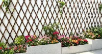 Yifeng Yushe Homestay (Liuxing Street) - 2성급