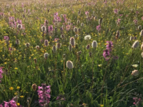 Litang Cloud Homestay Hoteles en Litang