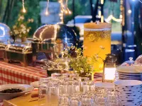 Bamboo Forest Wonderland