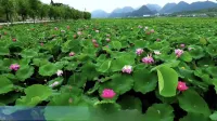 Anlong Wenzhou Sunshine Hotel Hotels in Anlong