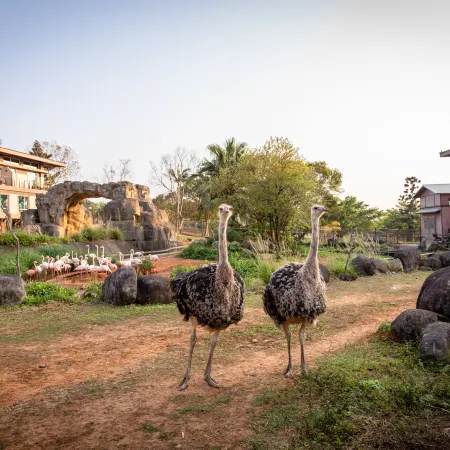 Leofoo Resort Guanshi