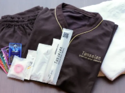 Tenseien Odawara Station Annex Hotels in Odawara