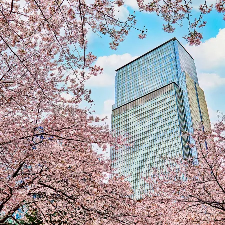 Mandarin Oriental, Tokyo