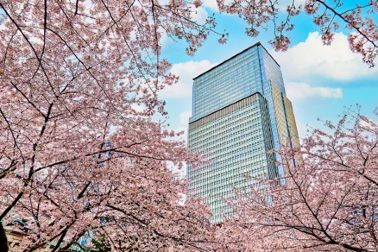 Mandarin Oriental, Tokyo