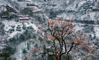 Lishui qingtian suixinju boutique guestvilla