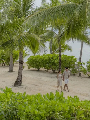 รูปภาพของทรีเฮาส์ วิลล่าส์ เกาะยาว - สำหรับผู้ใหญ่เท่านั้น