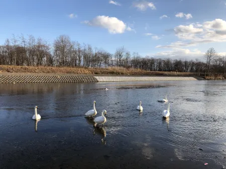 Base Shiraoi Отели рядом со станцией JR Shiraoi Station