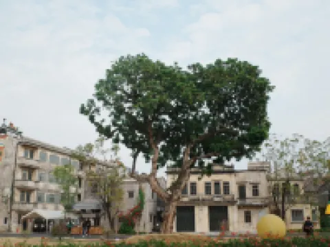 赤坎古鎮榮安旅店 鄰近赤坎影視城的酒店