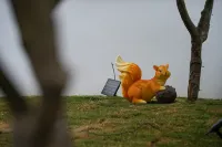 Ye Xu Homestay Hotels in Tianzidi Scenic Area