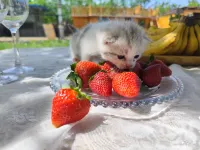 Summer · Countryside فنادق في خوى تشنغ