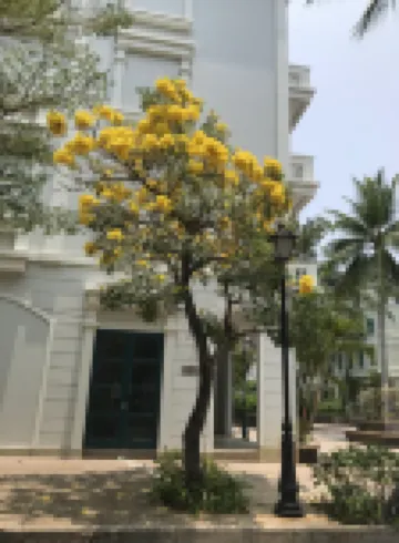 Kalia 富國島酒店及水療中心