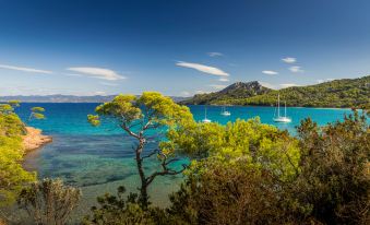 Villa la Madrague - Sea View - 2 mn from the beach