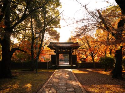 ホテル周辺 松戸グランドホテルの写真